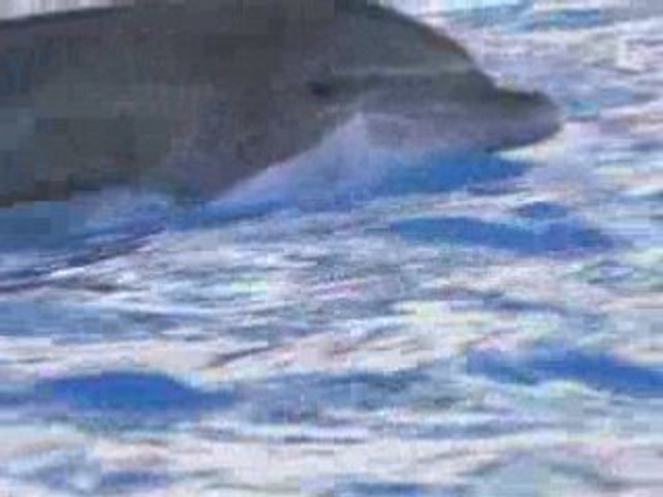 OVNI- Superscience 2-Partie5