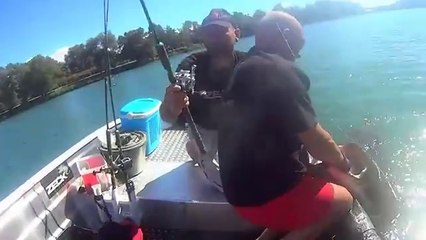 Incredible Huge Catfish 8_5_ foot - 230 LBS - HD by Yuri Grisendi(360P)