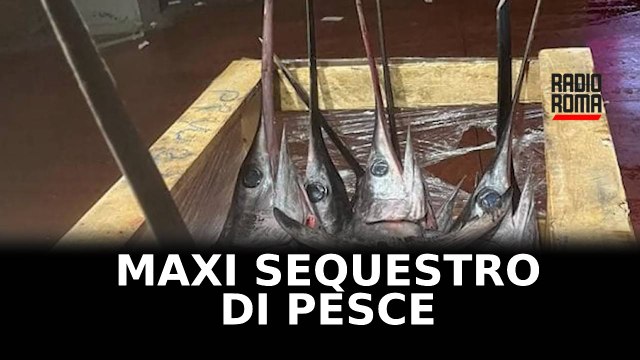 Maxi sequestro di pesce al Car di Roma