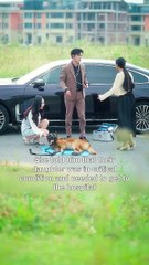 When a Dog Matters More A Mother's Heartbreaking Loss and Betrayal