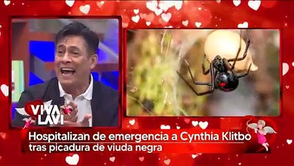 Cynthia Klitbo es hospitalizada tras ser picada por viuda negra