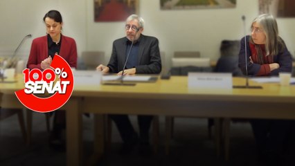 100% Sénat - Femmes et sciences : comment percer le plafond de verre ?