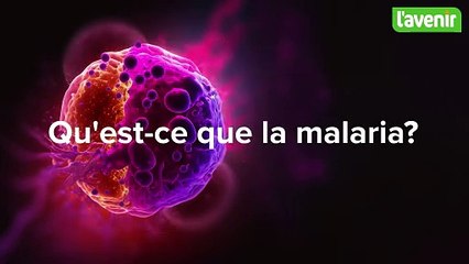Qu'est-ce que la malaria?