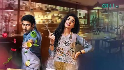 Diyar e Yaar Ep 19 (Subtitles) 17th Feb 2025 - Mikaal Zulfiqar & Mahenur Haider - Zaviyar Naumaan