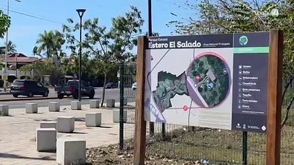 Con una inversión superior a los 30 mdp, el estero El Salado se ha convertido en un elefante blanco