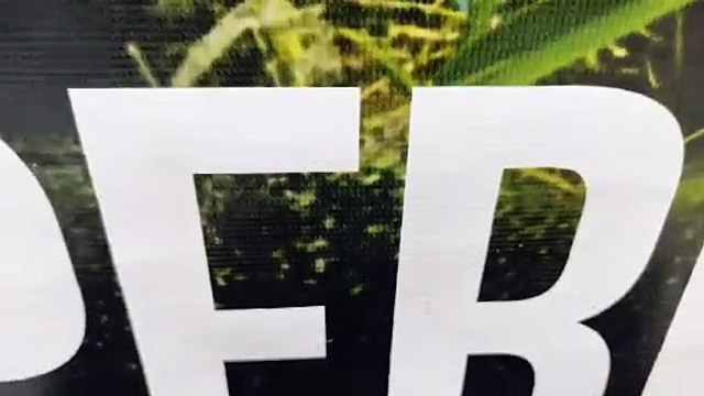 BPFron apreende 120 frascos de anabolizantes em ônibus em Umuarama