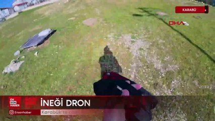 Karabük’te cami imamı, kaybolan ineği dronla buldu