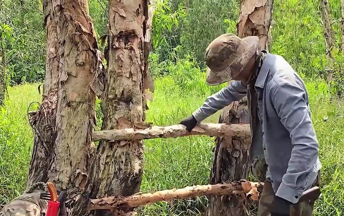 Treehouse Survival - Wild Shelter Build 🏕 #viralvideo #survival #survivalskillsanywhere #camping Treehouse Survival - Wild Shelter Build 🏕 #viralvideo #survival #survivalskillsanywhere #camping