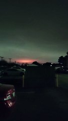 Can You Identify This? Share Your Insights! 🔍