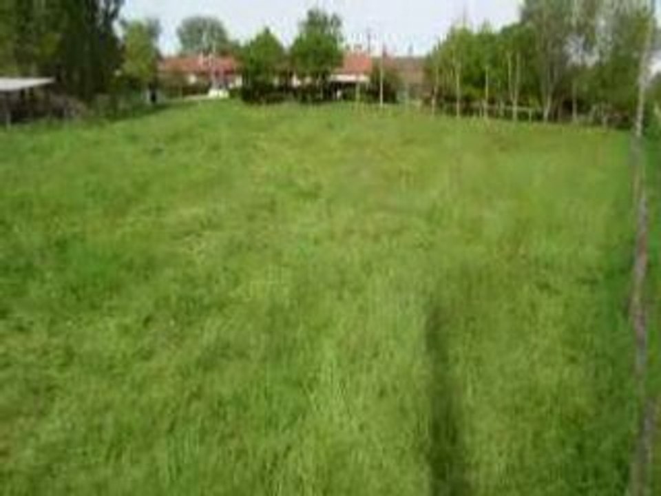 IMGP0796