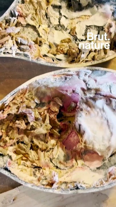 Paysan-luthier, il fabrique des instruments avec des fruits