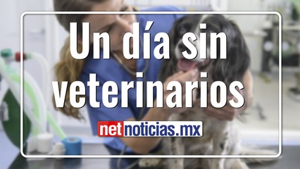 Paro laboral y manifestación en Juárez por violencia contra veterinarios