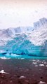 LES PLUS GRANDES baleines d’Antarctique