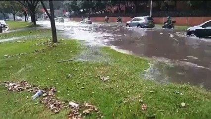 Caída de árboles y encharcamientos en Bogotá por fuertes lluvias este lunes