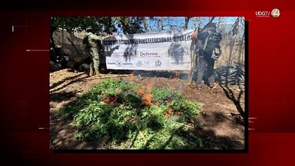 Detienen aun líder criminal, decomisan drogas por 400 millones y dos camiones blindados