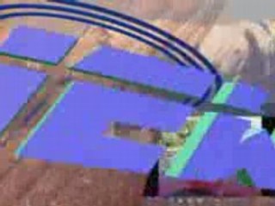 CANE CORSO RUSTICO, MASTINO NAPOLETANO, DOGO CANARIO.