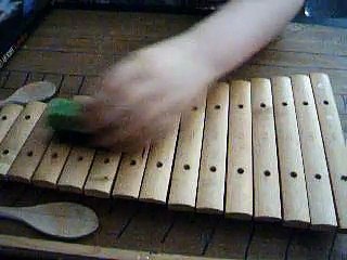 Duck Rijdt Op Xylofoon