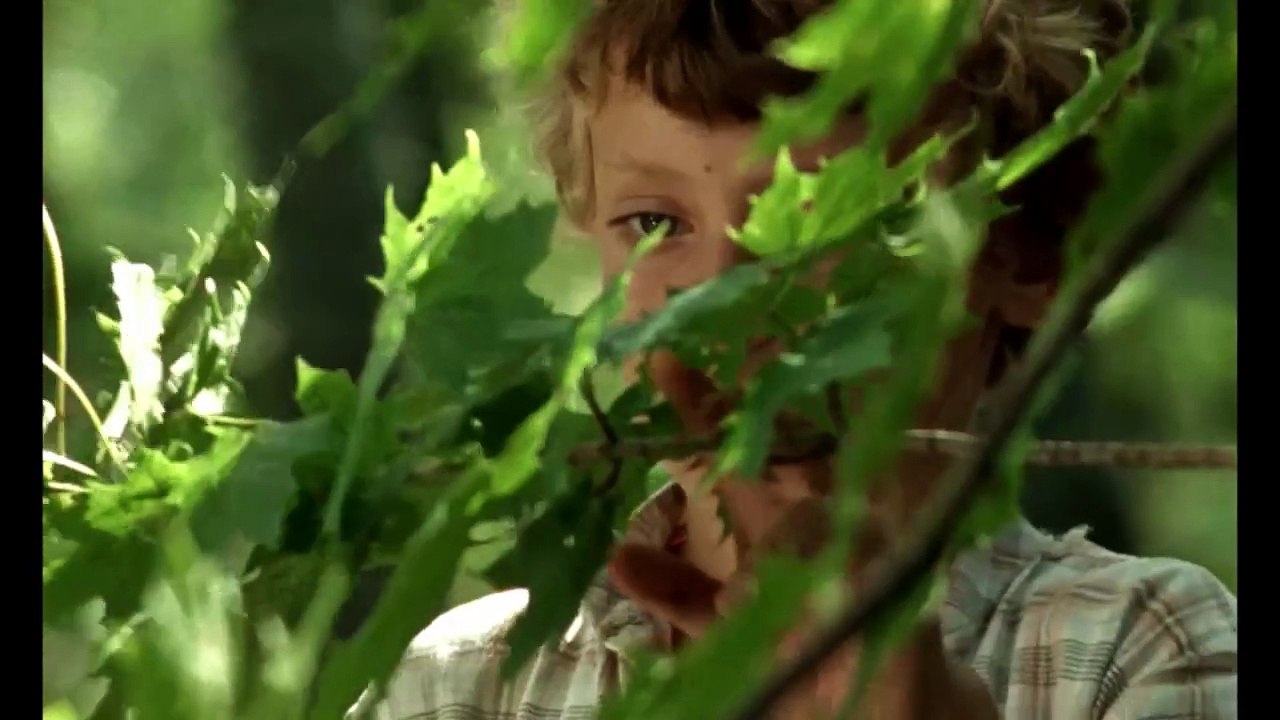 Ingen rövare finns i skogen