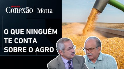 Análise: avanços no agro que o brasileiro desconhece | CONEXÃO MOTTA