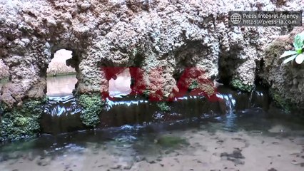Le plus grand tunnel d'eau souterrain de 24 km à Timimoun dans le sud algérien,creusé il y a 800 ans