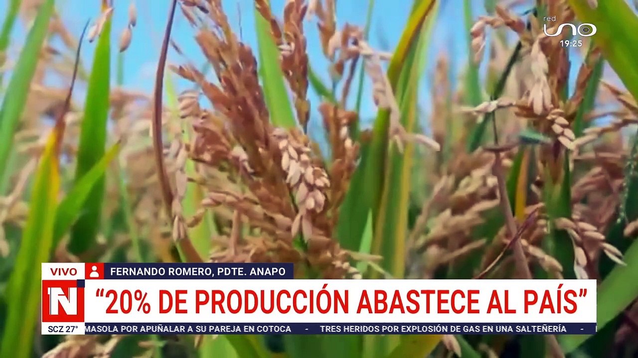 Productores de soya piden que se levante el veto a la exportación