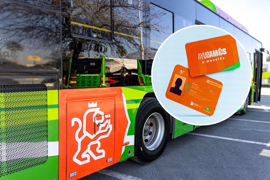 Así puedes obtener 10 viajes gratis para el transporte público en Nuevo León con el programa "Ayudamos a Moverte"
