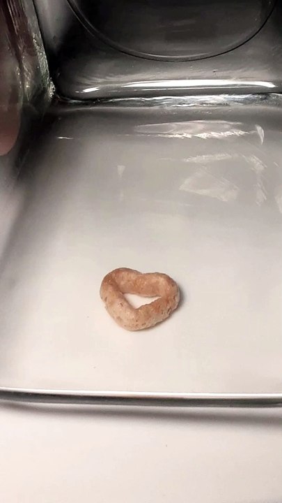 Crushing a cheerio (regular, slow motion, & reversed)