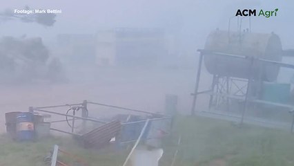 De Grey station hit by cyclone Zelia