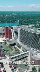 Black Lotus Returns After 5 Years: Intense Relationship Drama 🌸