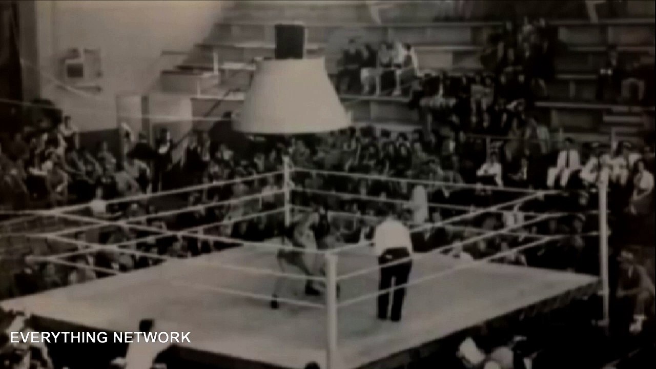 Politics and The Mafia