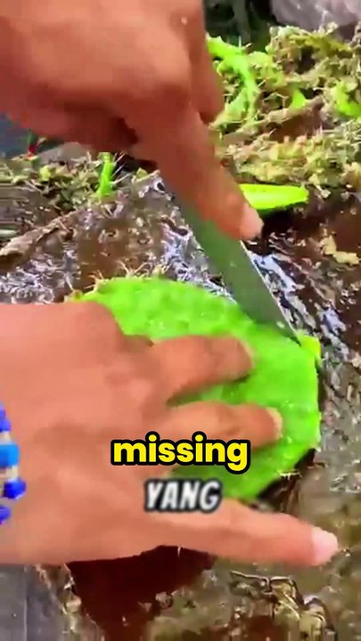 Would You EAT This SLIMY Plant! (Shocking Truth!)