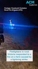 Flaming gum tree left hollow after lightning strike