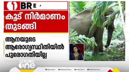 അതിരപ്പള്ളിയിൽ മസ്തകത്തിൽ പരിക്കേറ്റ ആനയെ ചികിത്സിക്കാനുള്ള കൂടൊരുങ്ങുന്നു