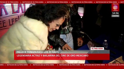 "Tongolele marcó la cultura popular mexicana": Arturo García Hernández