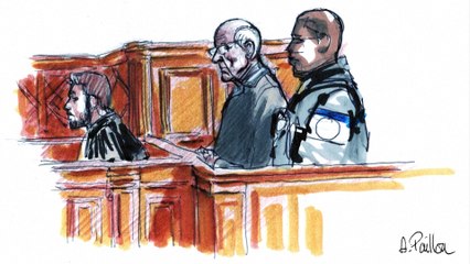 After Pelicot, surgeon accused in France's biggest child abuse case