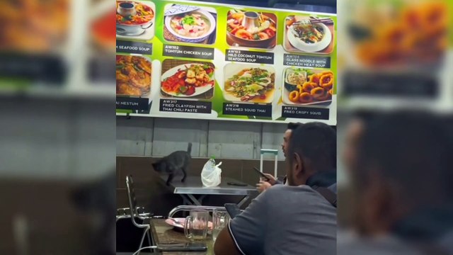 12. A collection of funny videos from people around the world 🤣🤣 that will make you laugh#funny #comedy