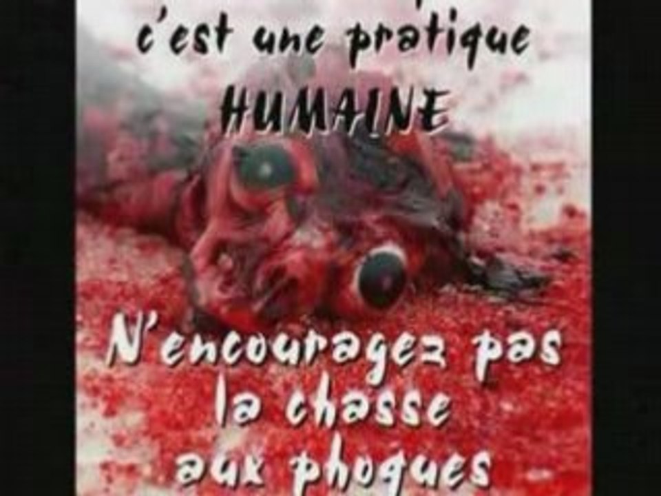 une honte 2