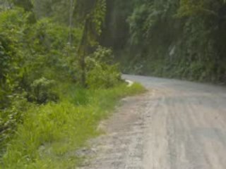 LA CEIBA HONDURAS  01 05 08