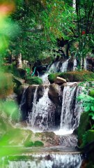 Private Pool Villa Resorts in Munnar