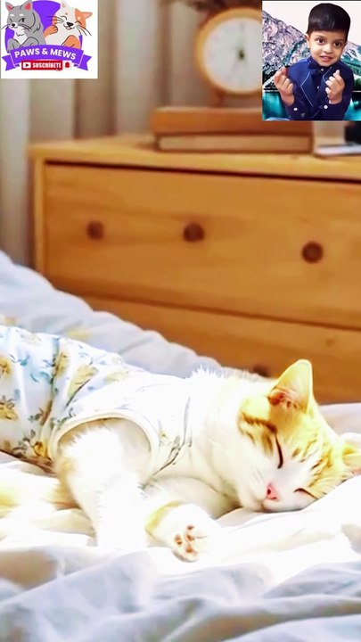 cooking food#shorts#daily motion shorts#