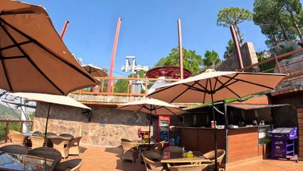 We are ready to order food