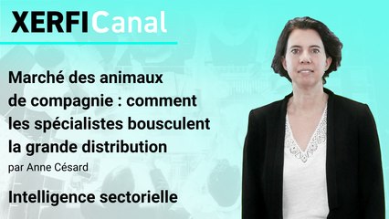 Marché des animaux de compagnie : les spécialistes défient la grande distribution [Anne Césard]
