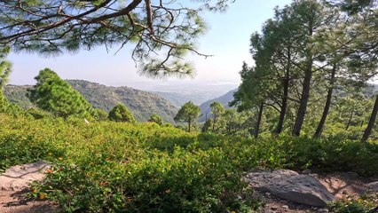 Beautiful View of Islamabad from the top Hills