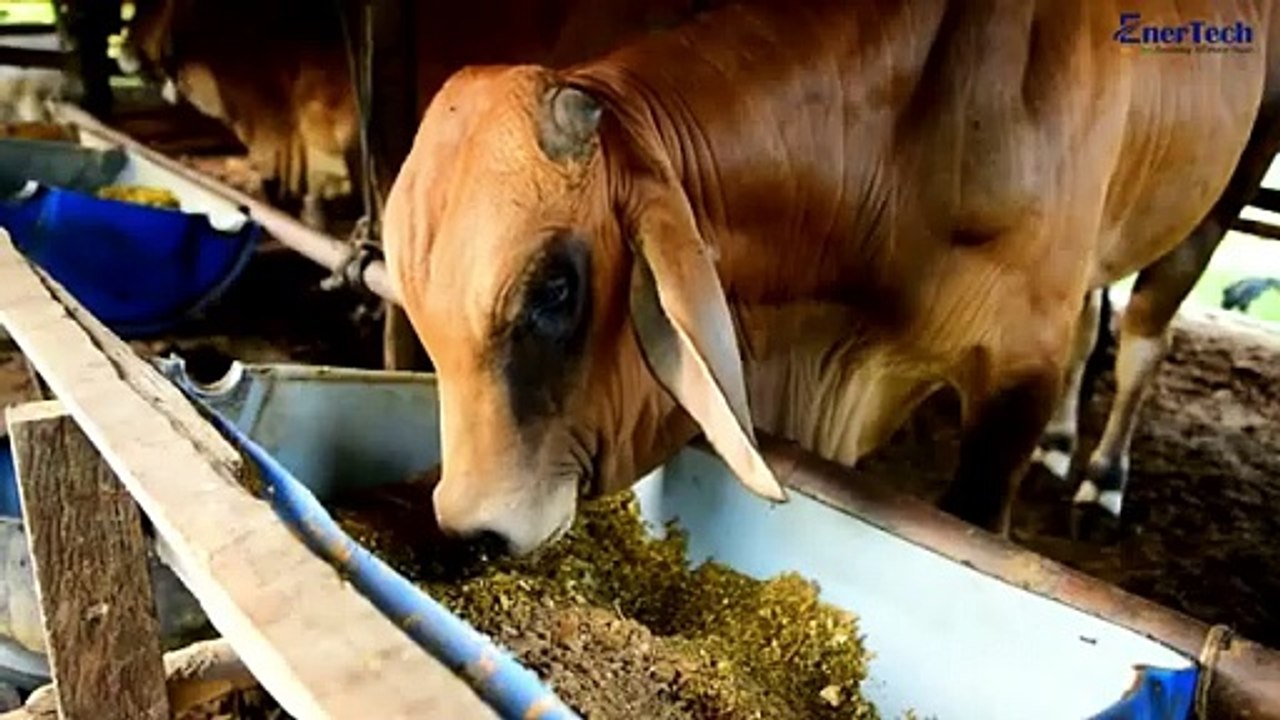 Customer Review: EnerTech’s 150kVA/200kWh Solar Hybrid Inverter Installation | BESS | EnerTech