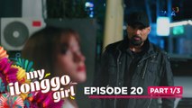 My Ilonggo Girl: Will the Hermosos successfully accomplish their mission? (Episode 20 - Part 1/3)