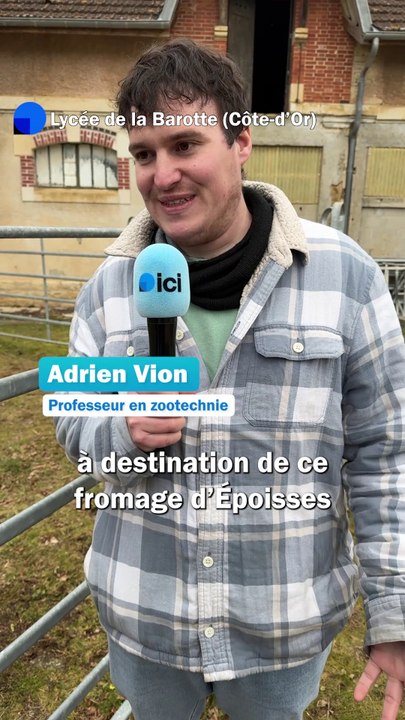Au lycée de la Barotte, le lait des vaches sert à fabriquer de l'époisses