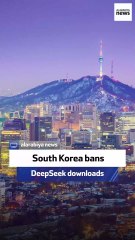 South Korea bans DeepSeek downloads