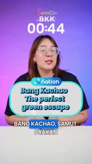 Bang Kachao : The perfect green escape