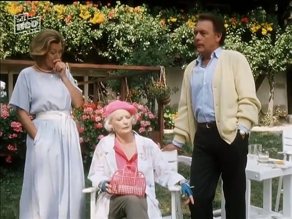 Die Schwarzwaldklinik S01E19 - Hochzeitstag