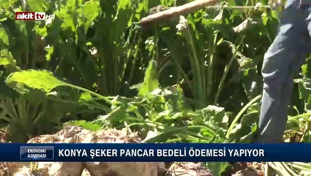 Konya Şeker pancar bedeli ödemesi yapıyor